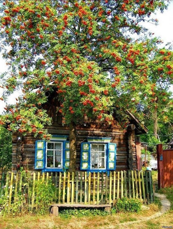 Есенин рябина