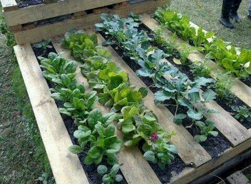 Вертикальные грядки для клубники