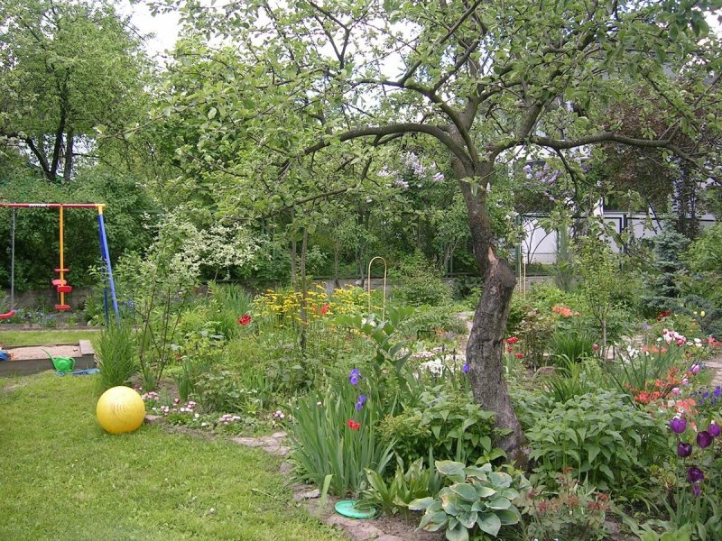 Планировка сада с деревьями и кустами