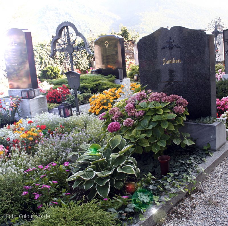 Памятник из Токовского гранита