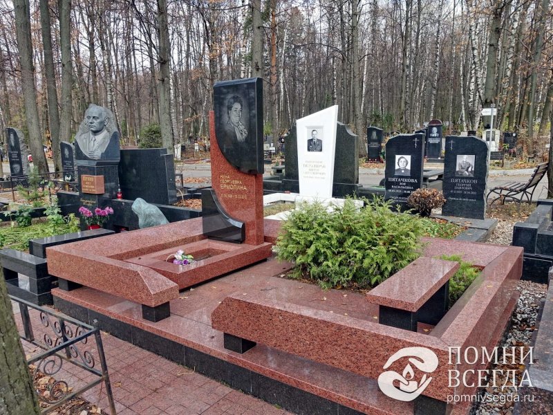 Карликовые туи на могиле