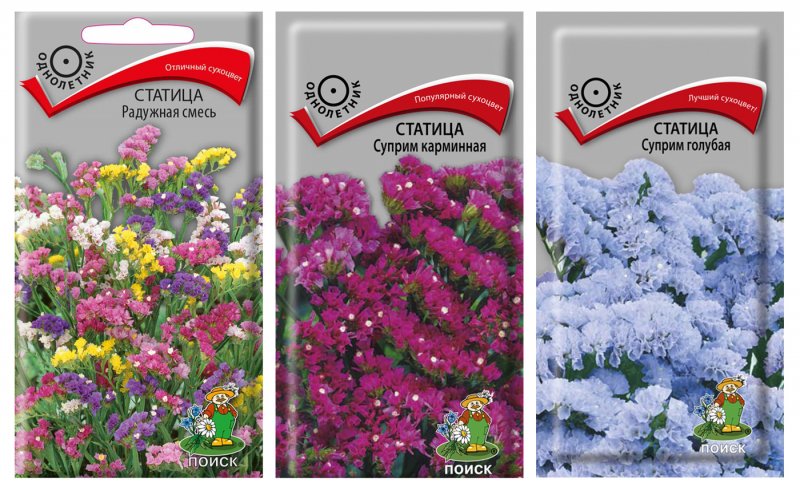 Статица Крымская cмесь