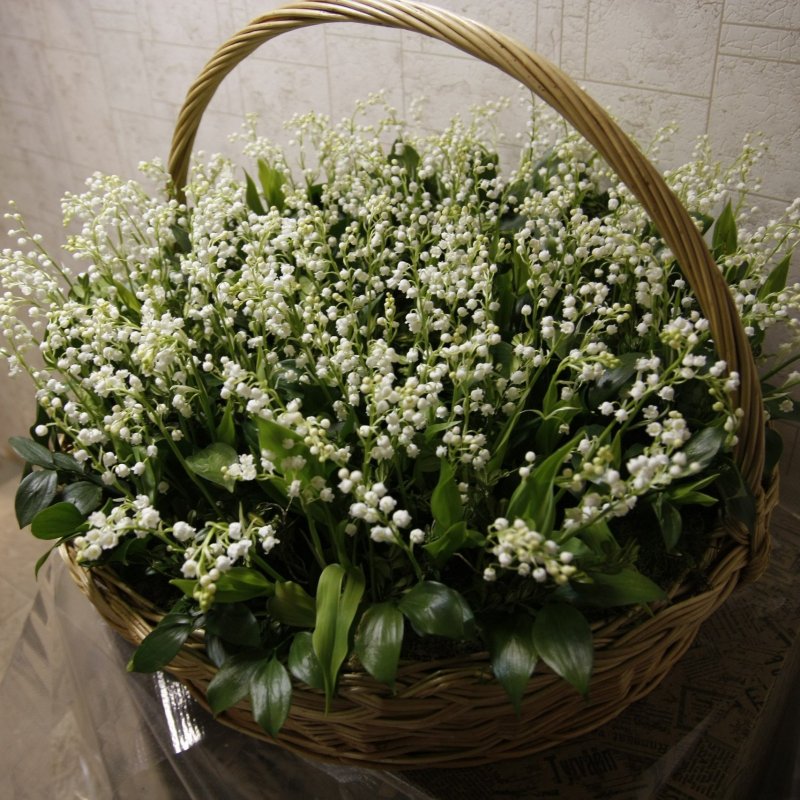 Ландыши в корзинке