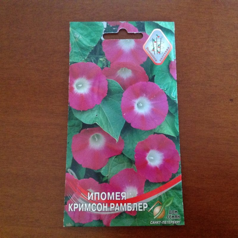 Вьюны цветы пачка семена