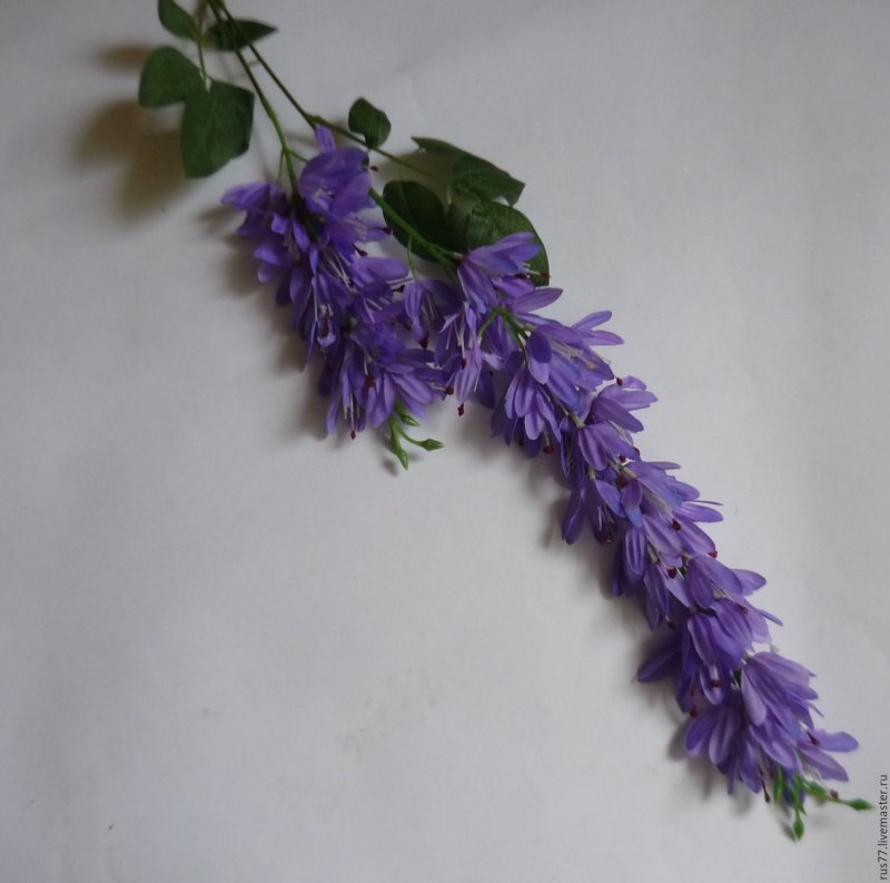Глициния (Вистерия) искусственная