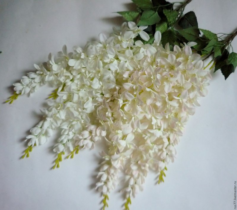 Глициния из фоамирана