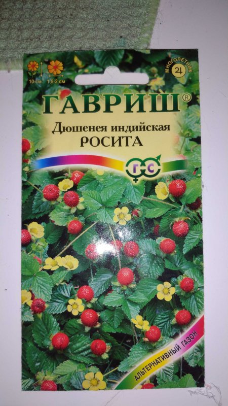 Лапчатка индийская дюшенея