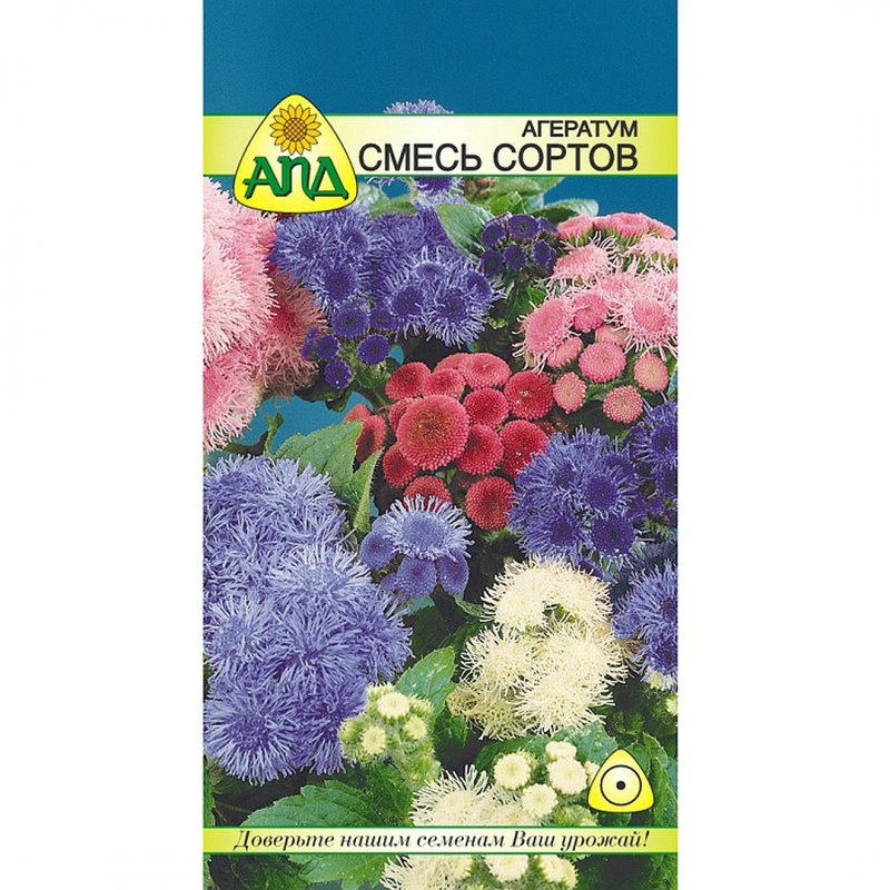 Агератум смесь