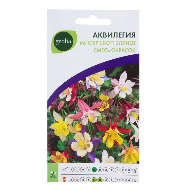 Аквилегия Мистер Скотт Эллиот смесь Geolia