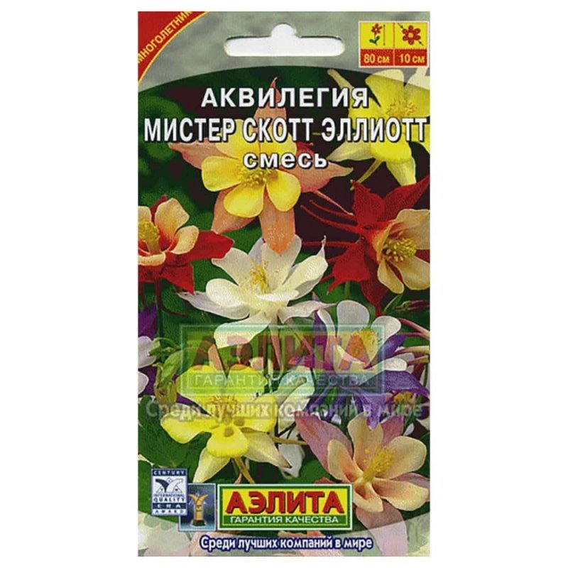 Аквилегия Мистер Скотт смесь