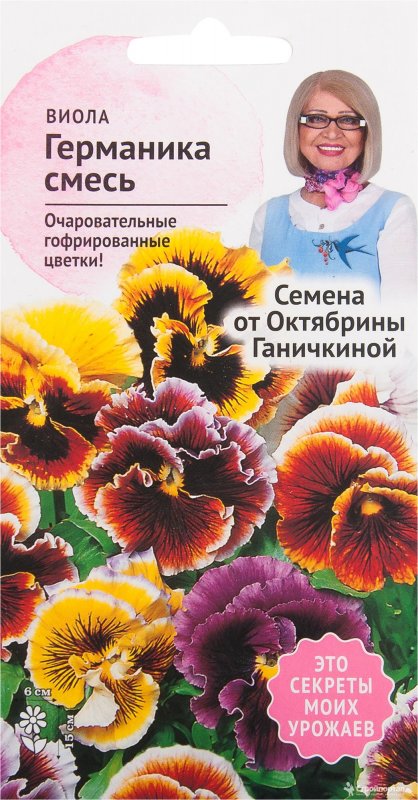 Виола Виттрока Анютины глазки