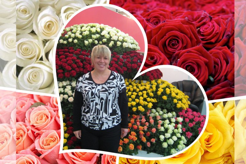 Вера Глухова гортензии питомник