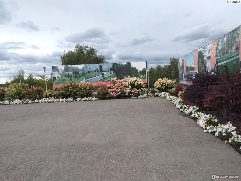 Питомник веры Глуховой Самара