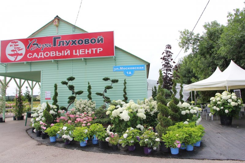 Садовый центр веры Глуховой в Самаре