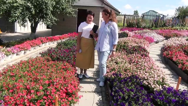 Сад гортензий Самара Глухова