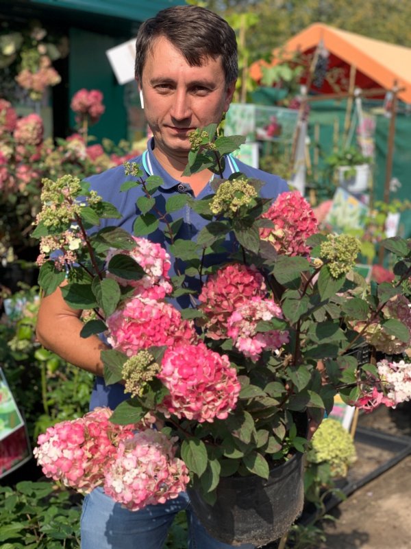 Садовый центр веры Глуховой
