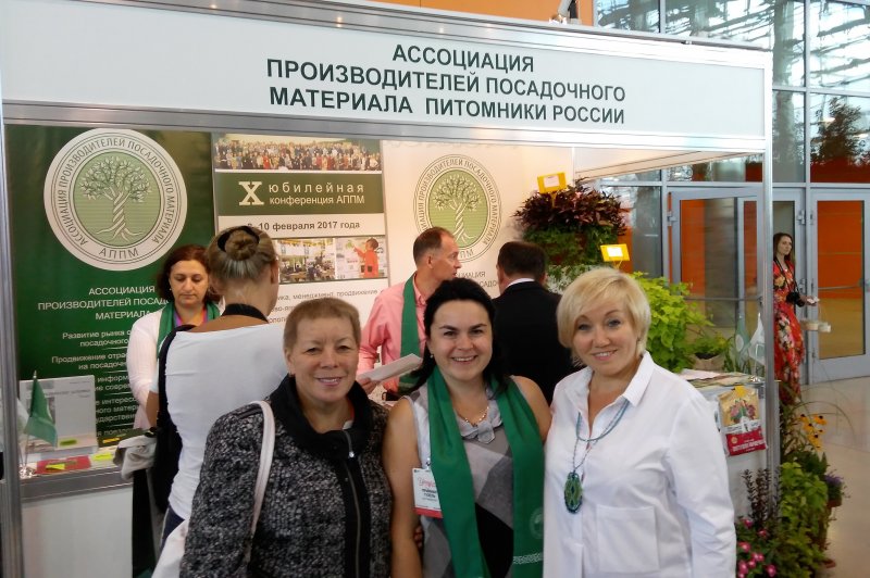 Гортензия Самарская Лидия
