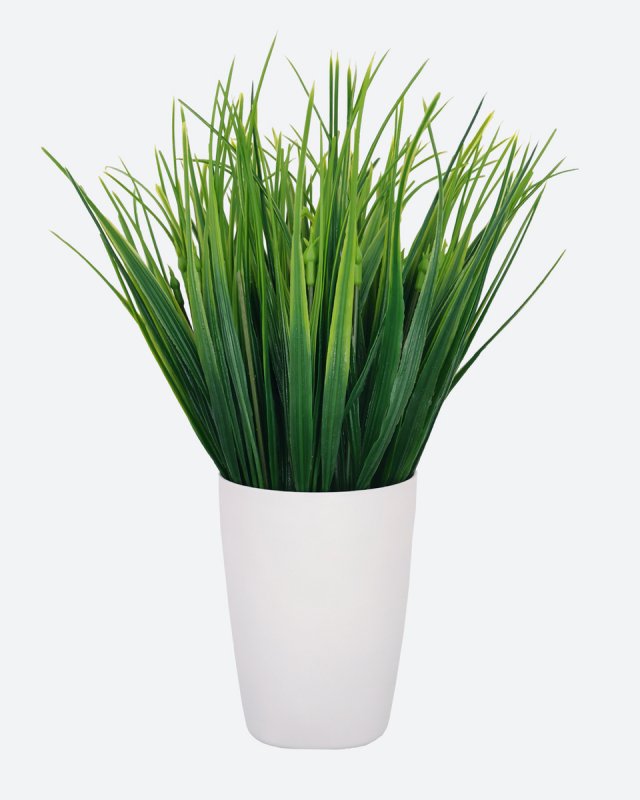 Coneko-Decor, "Осока Цветущая в кашпо" 555795
