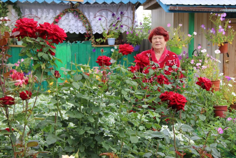 Клумбы на участке