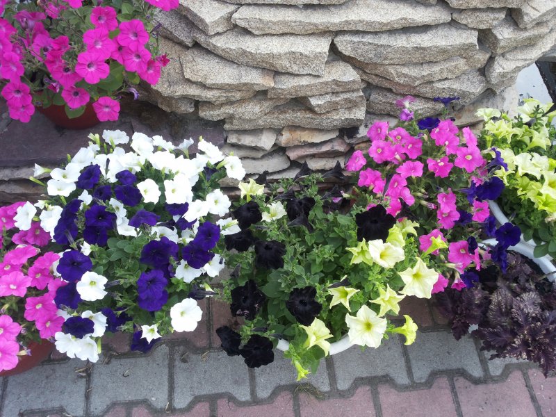 Цветочная башня Flower Tower
