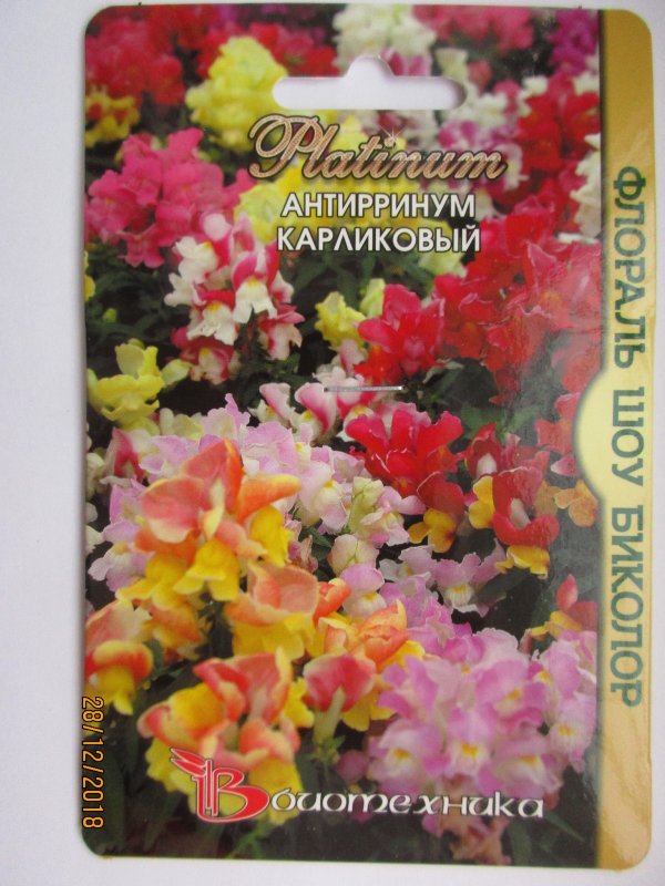 Антирринум карликовый Флораль