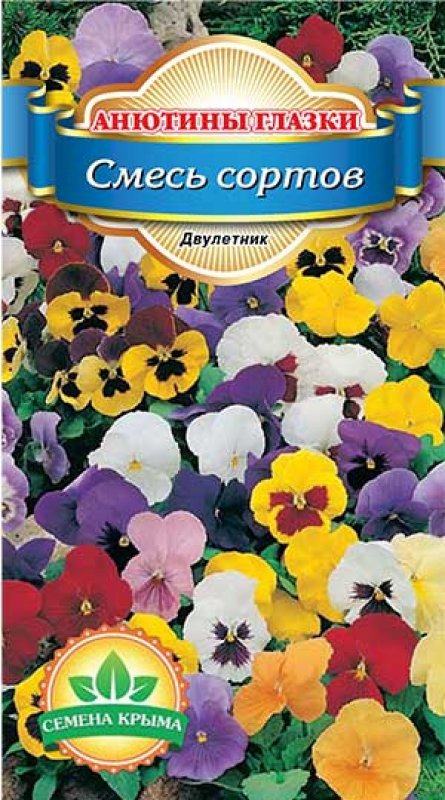 Виола Анютины глазки
