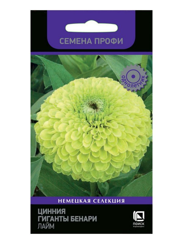 Цинния гиганты Бенари лайм 10шт