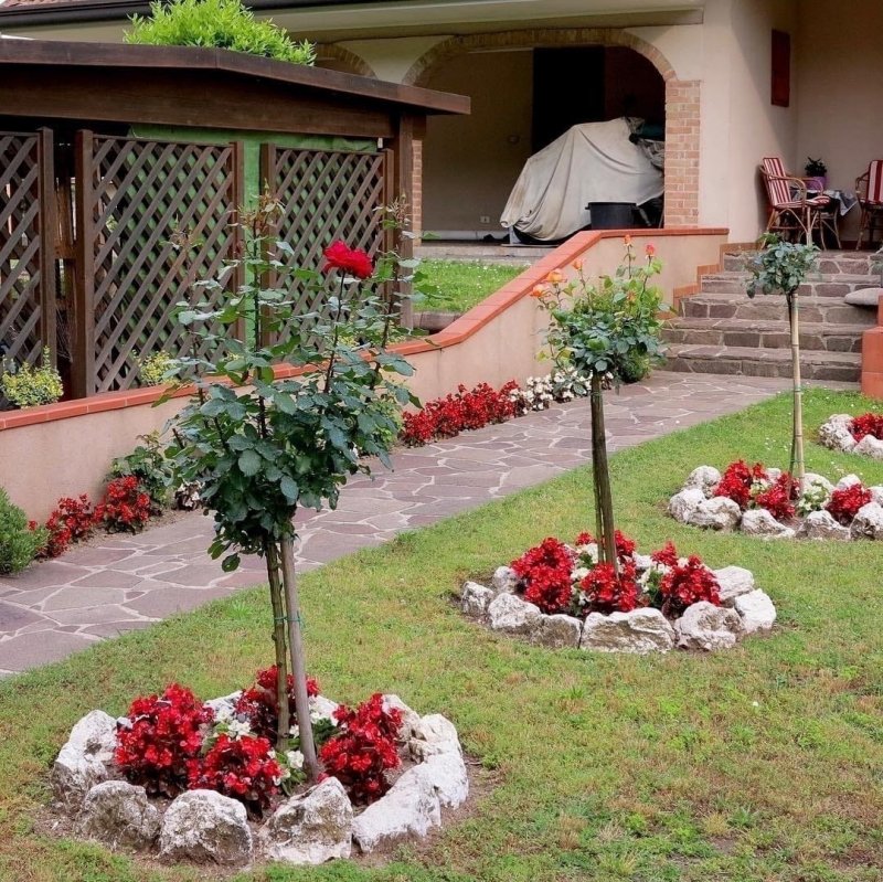 Natural Fresh Strawberry фото
