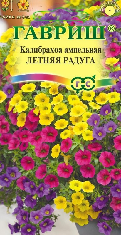 Калибрахоа ампельная махровая