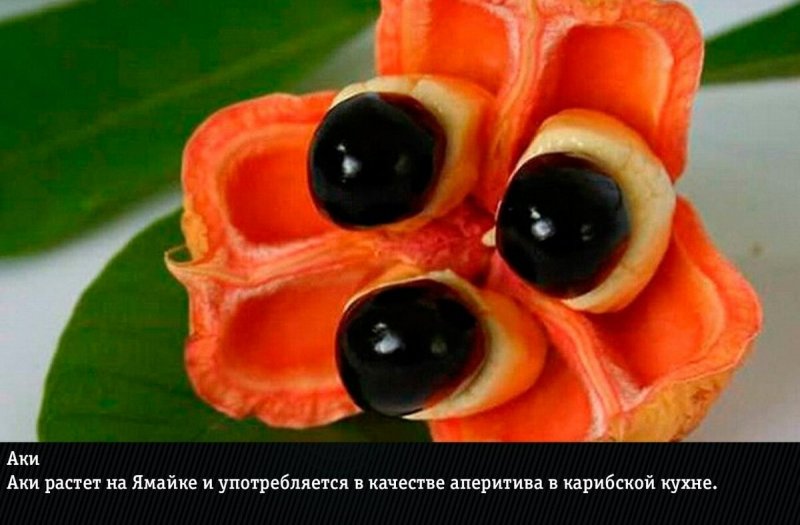 Самые редкие ягоды в мире