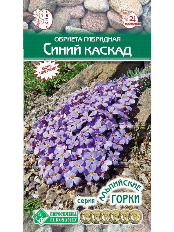 Обриета Лиззи