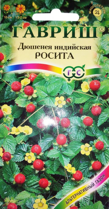 Тутти фрутти в тарелке