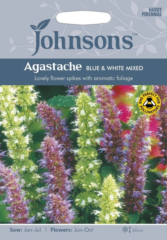 Лофант анисовый