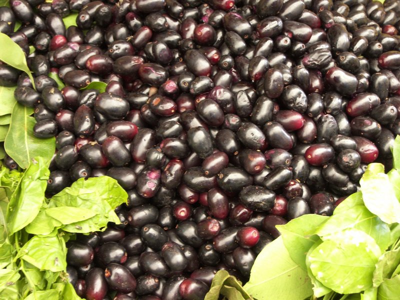 Jamun фрукт