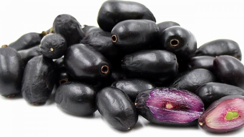 Jambolan Plums
