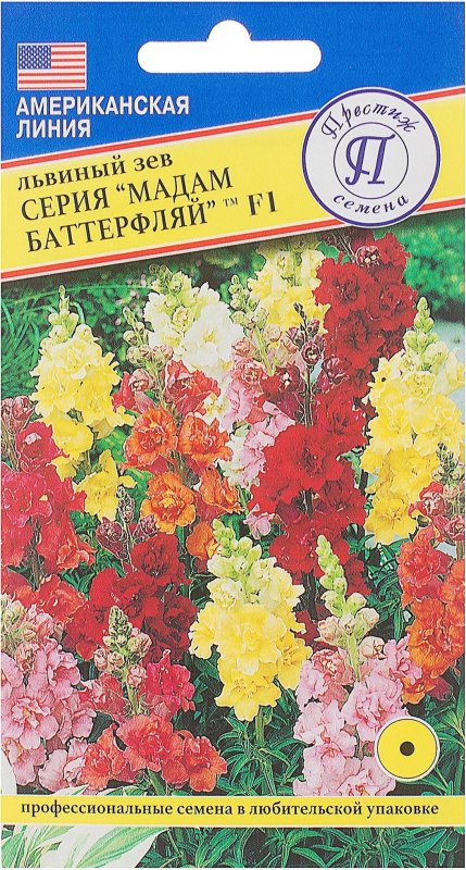Львиный зев Баттерфляй Серенада
