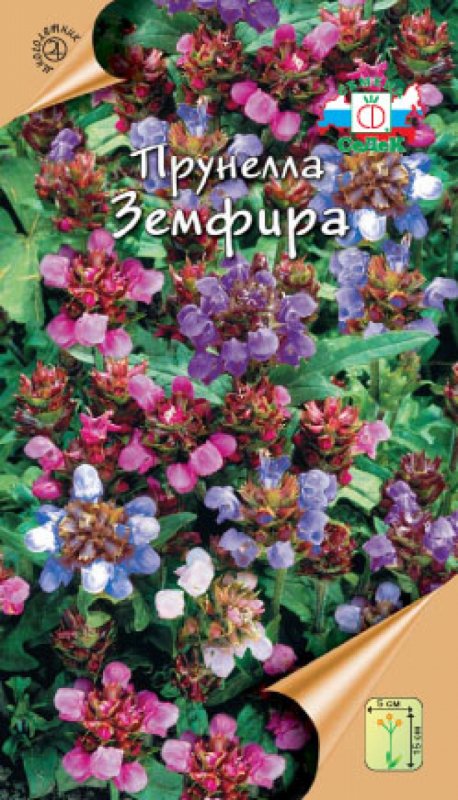 Модель Земфира Исмаилова