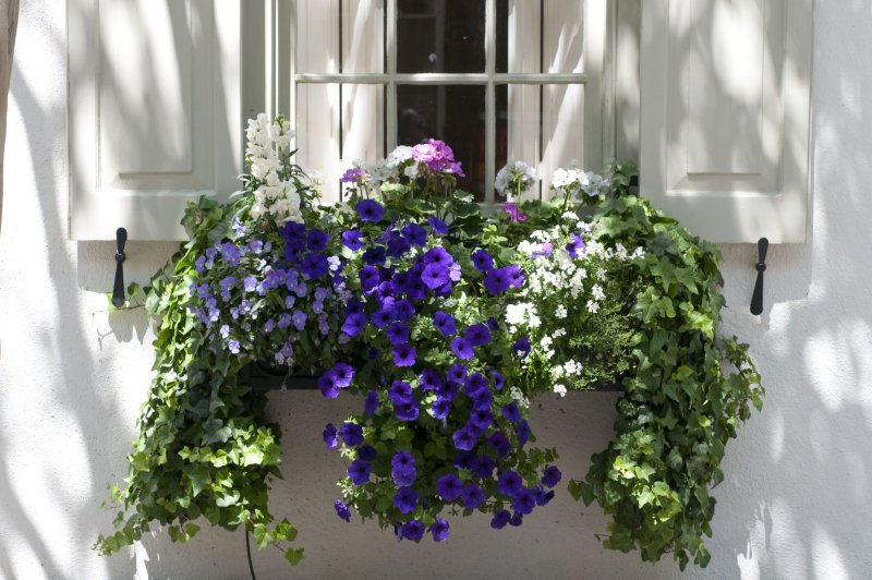 Кашпо Pure® Corsica Flower Bridge Anthracite