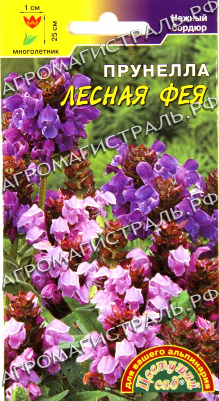 Прунелла Лесная Фея