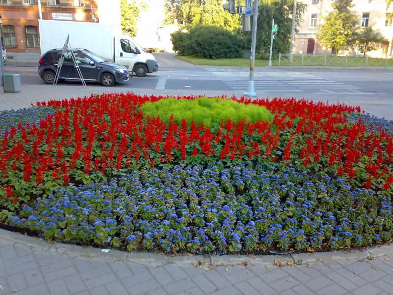Городские цветники