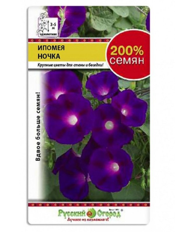 Ипомея Мауро