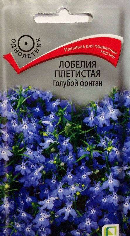 Семена лобелия голубой фонтан