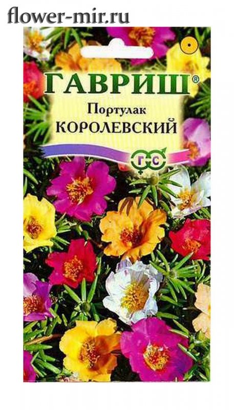 Портулак махровый алый