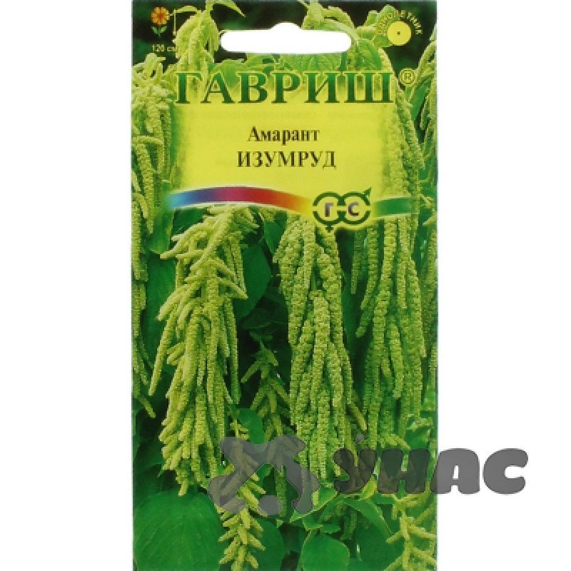 Амарант Гавриш