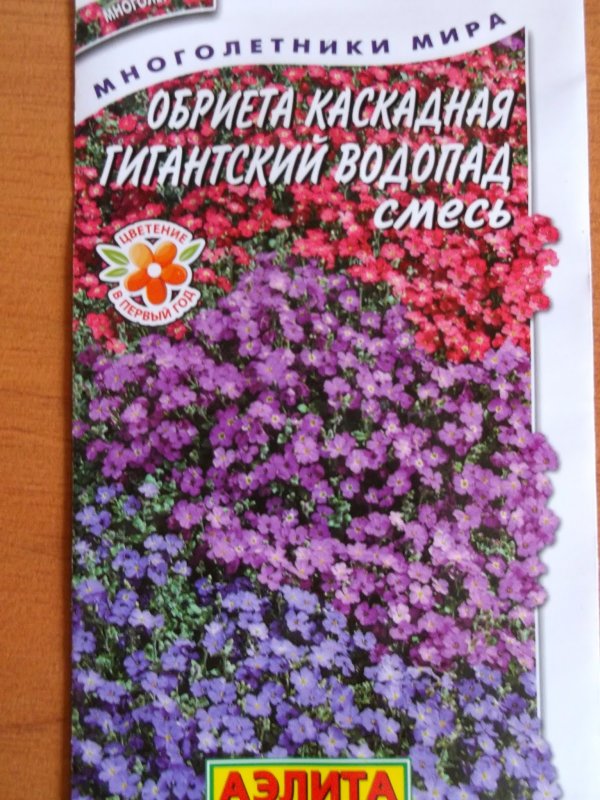 Обриета аудрей ред