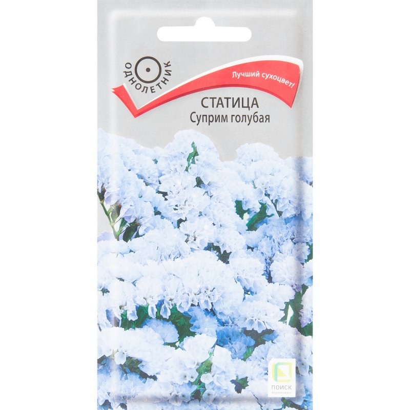 Бессмертник статица