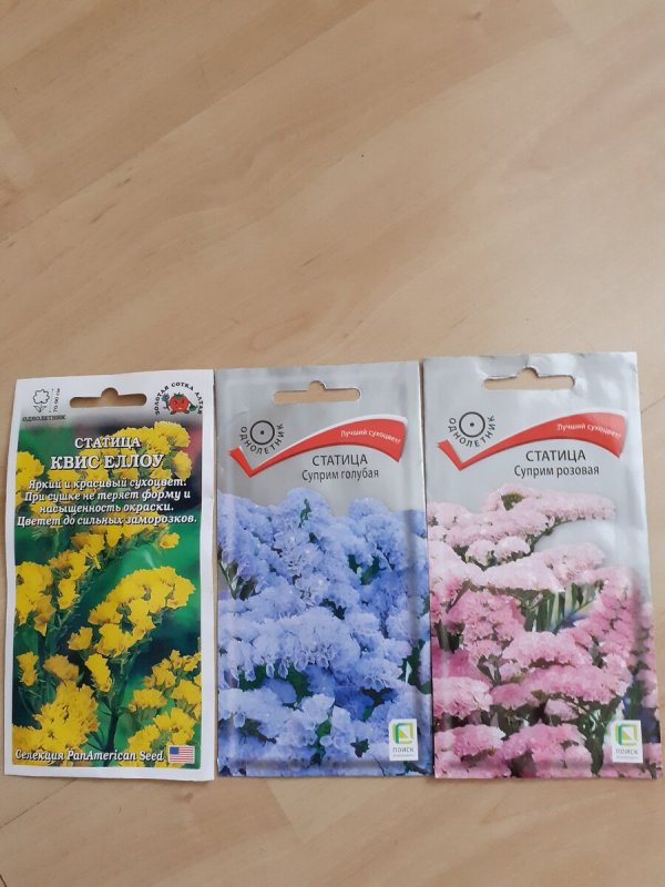 Статица на клумбе