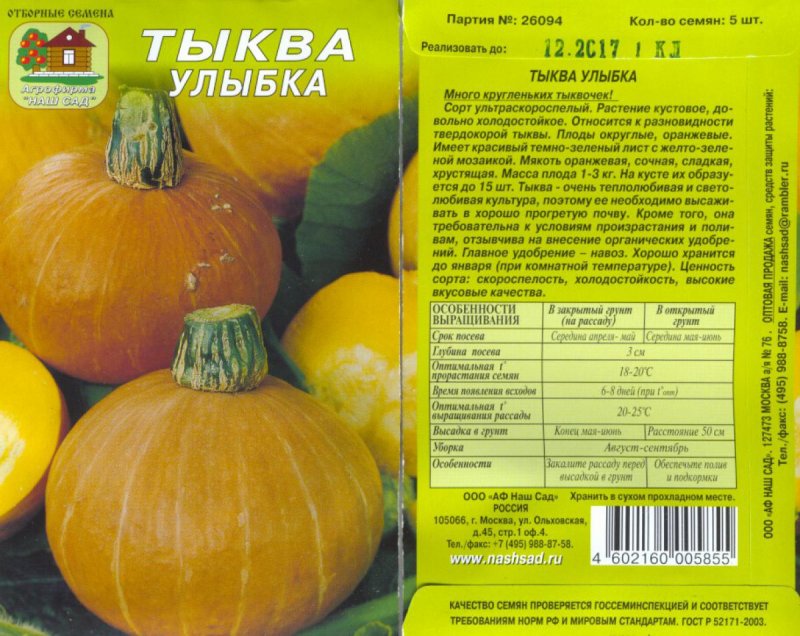Тыква конфетка СЕДЕК