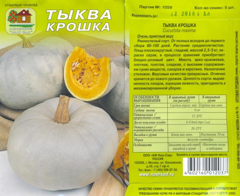 Сорт тыквы медовая крошка