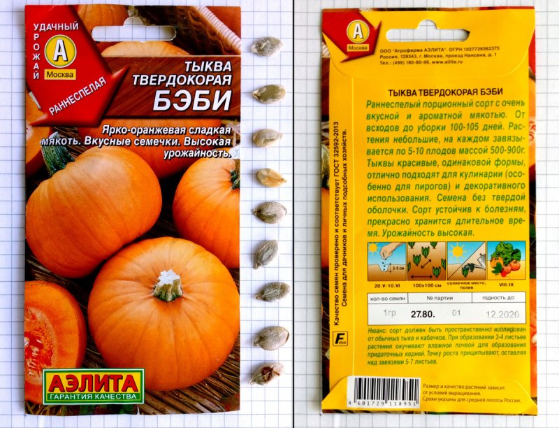 Семена Аэлита тыква бэби